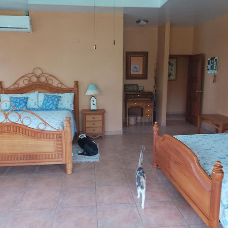 Gone Fishing Panama Resort Boca Chica Exterior foto